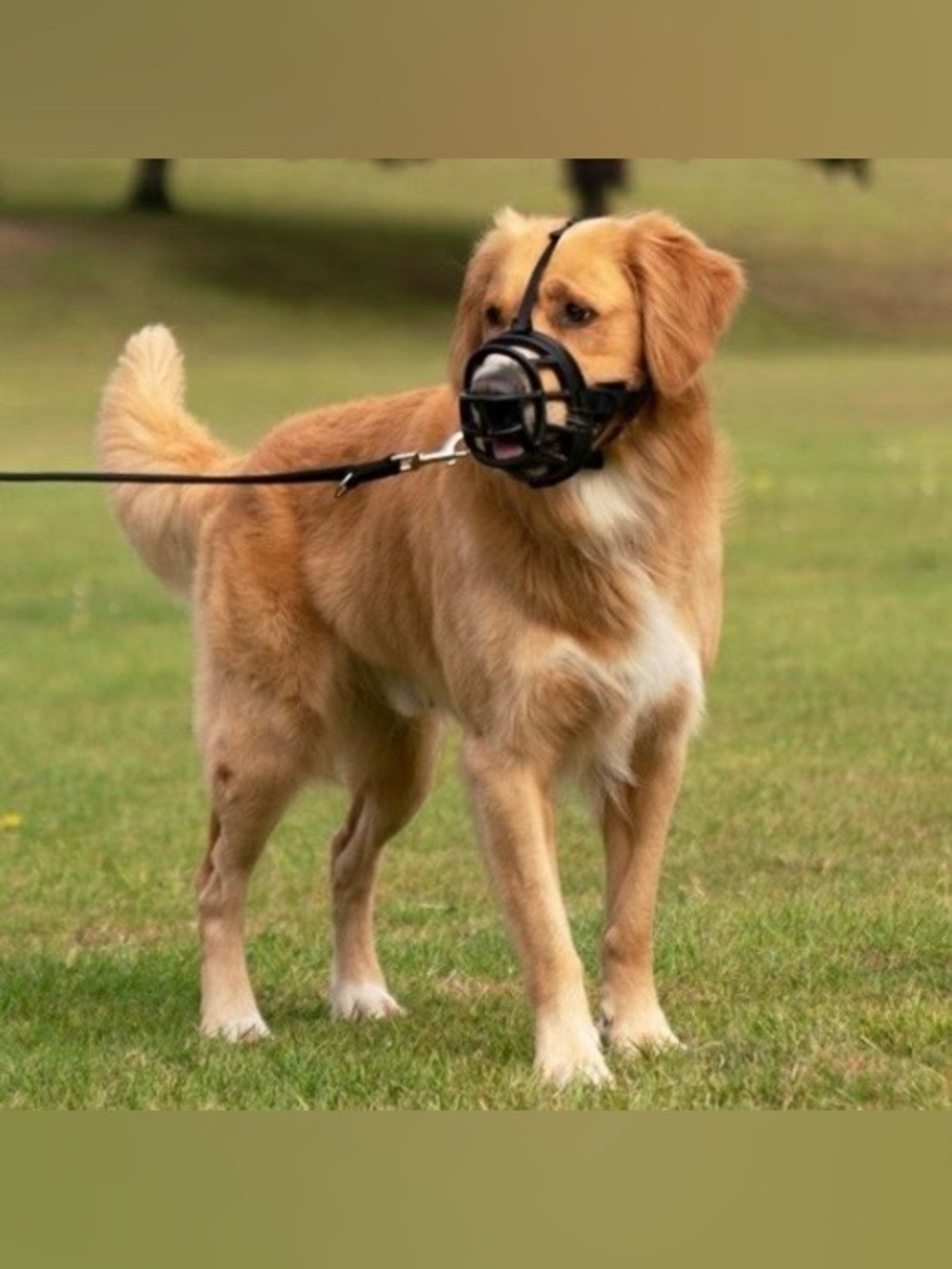 Baskerville Ultra Dog Muzzle Black, Comfortable Basket Muzzle Size 4